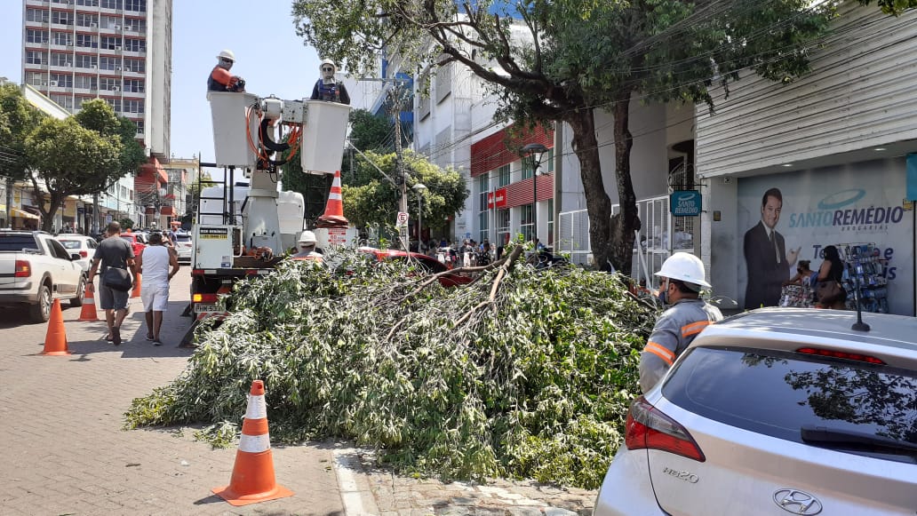Prefeitura realiza manejo da arborização em três pontos do centro histórico