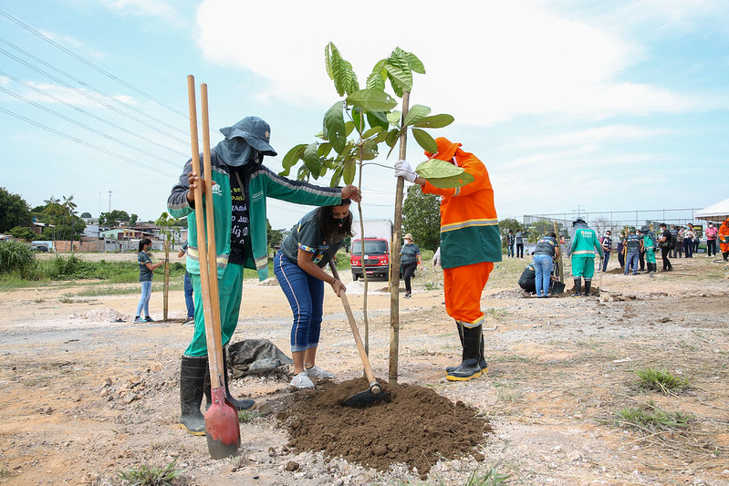 Prefeitura de Manaus doou mais de 47 mil mudas de plantas em 2021