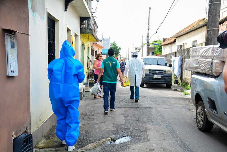 Prefeitura prepara busca ativa de casos suspeitos de esporotricose na população felina