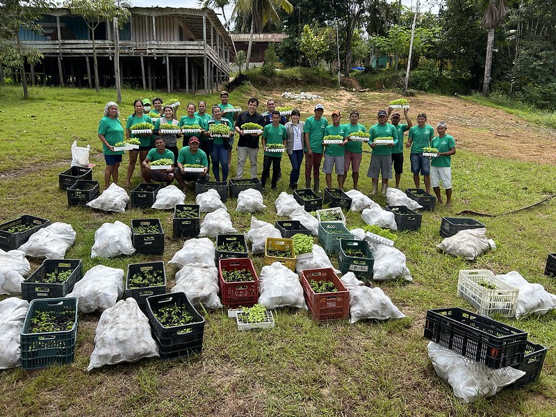 Prefeitura de Manaus em parceria com ONG fomenta a agricultura familiar na comunidade União e Progresso