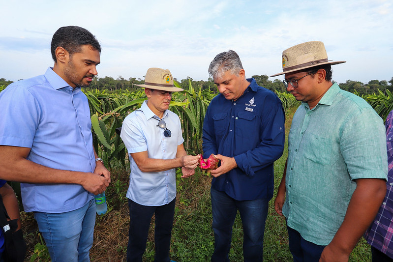 Prefeitura de Manaus fomenta o cultivo da pitaya com a perspectiva de consolidar a produção no cinturão verde da capital