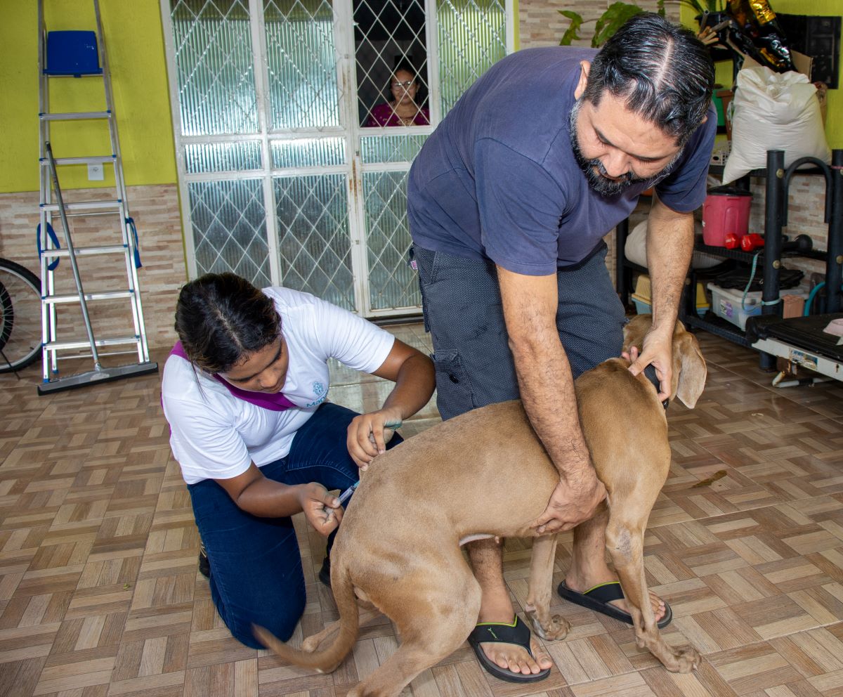 Prefeitura prossegue com vacinação antirrábica animal neste sábado, 18/3