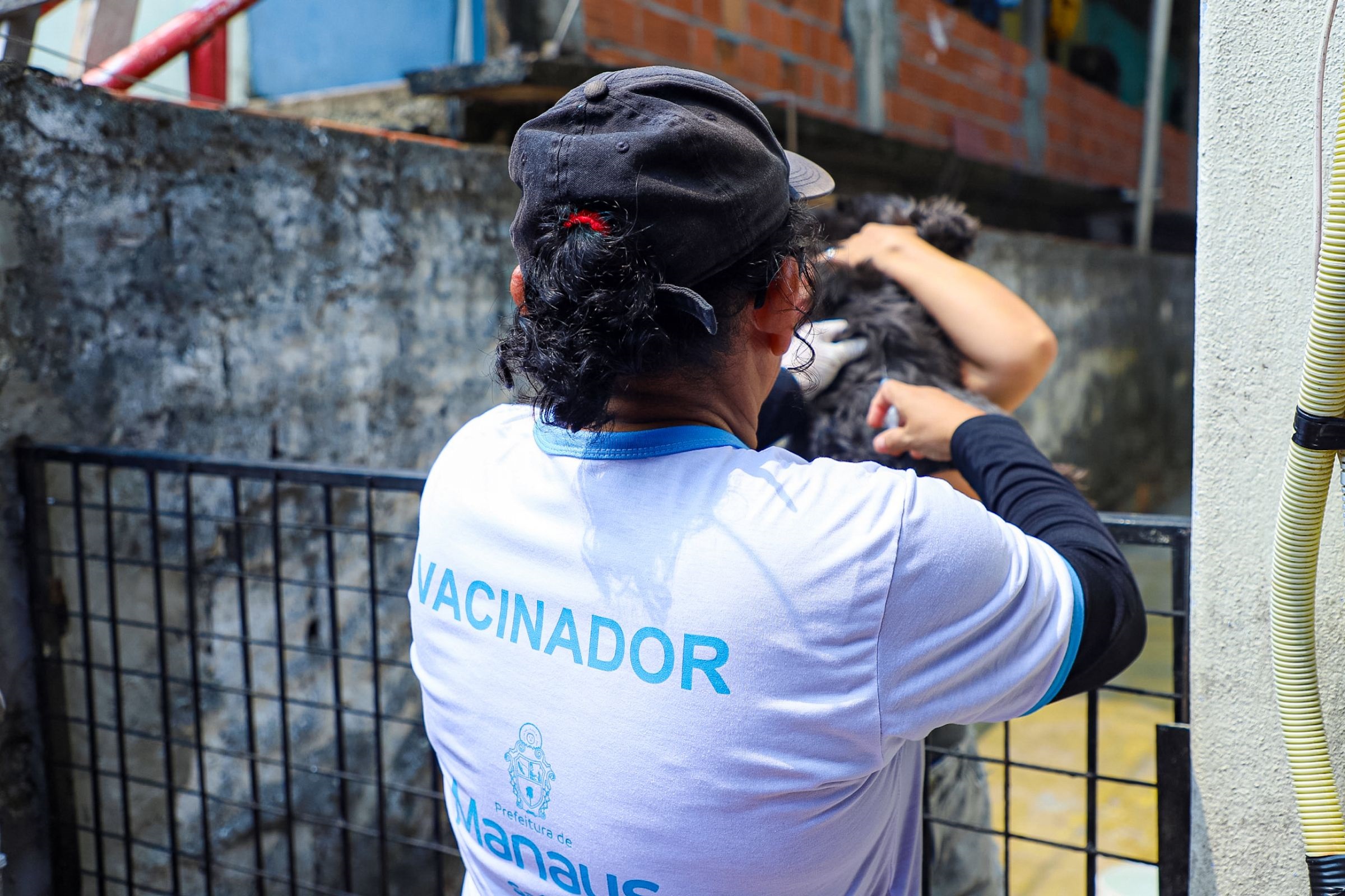 Campanha antirrábica da prefeitura imuniza cães e gatos em 16 bairros, na semana de 9 a 14/10