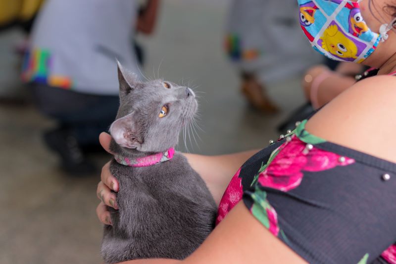 Campanha antirrábica da prefeitura segue com vacinação em UBSs e clínicas veterinárias parceiras