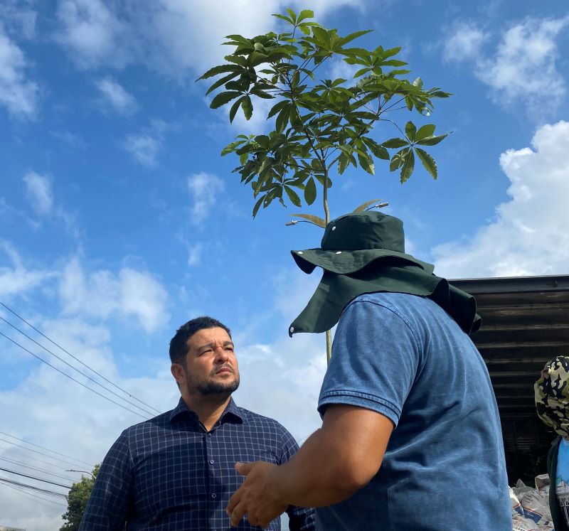 Prefeitura de Manaus realiza ação de arborização na avenida Constantino Nery